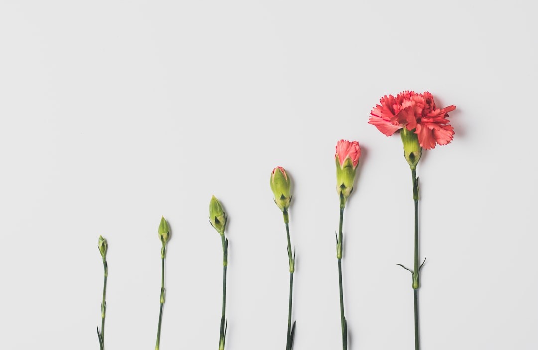 💖 Partner Journeys That Keep Relationships Thriving